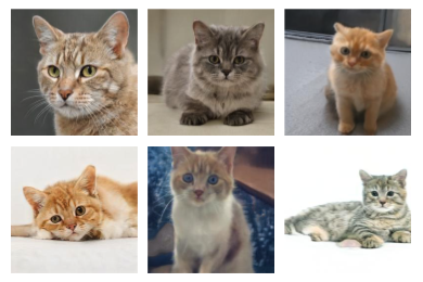 Figure 10: These Cats Do Not Exist