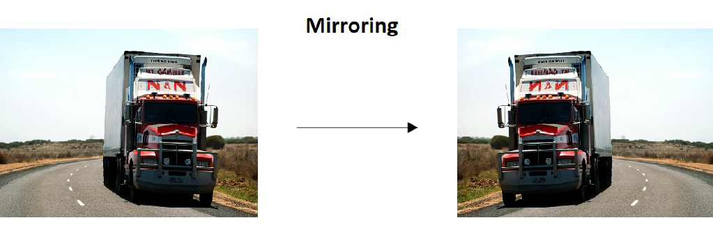 Figure 9: Mirroring