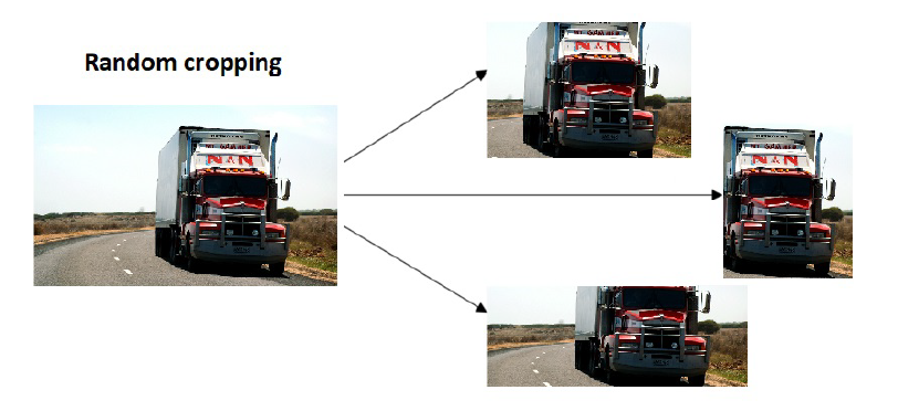 Figure 11: Random Cropping